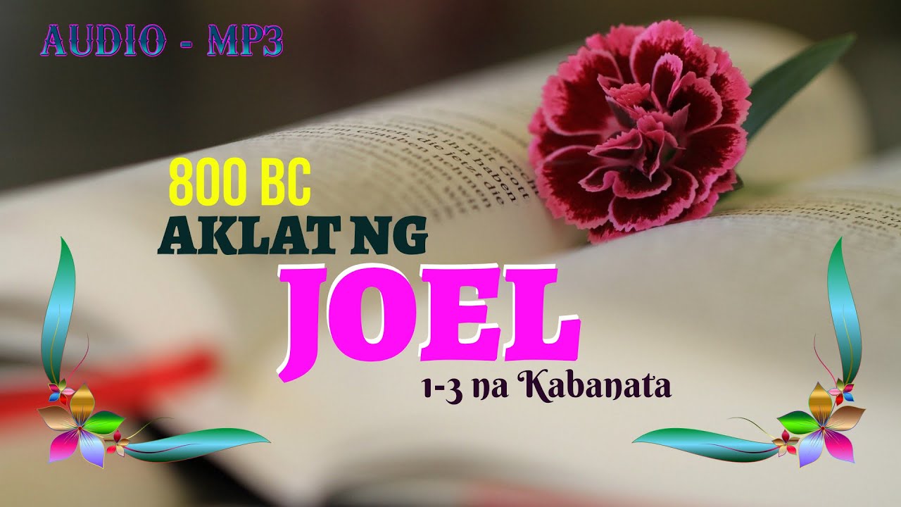 AKLAT NG JOEL