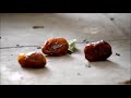 قال رسول الله صلى الله عليه وسلم كل معروف صدقة