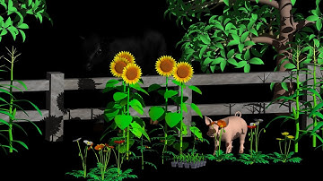 3.007 Completion Making Seamless3d One of the Easiest 3D Modelers for Beginners Vlog