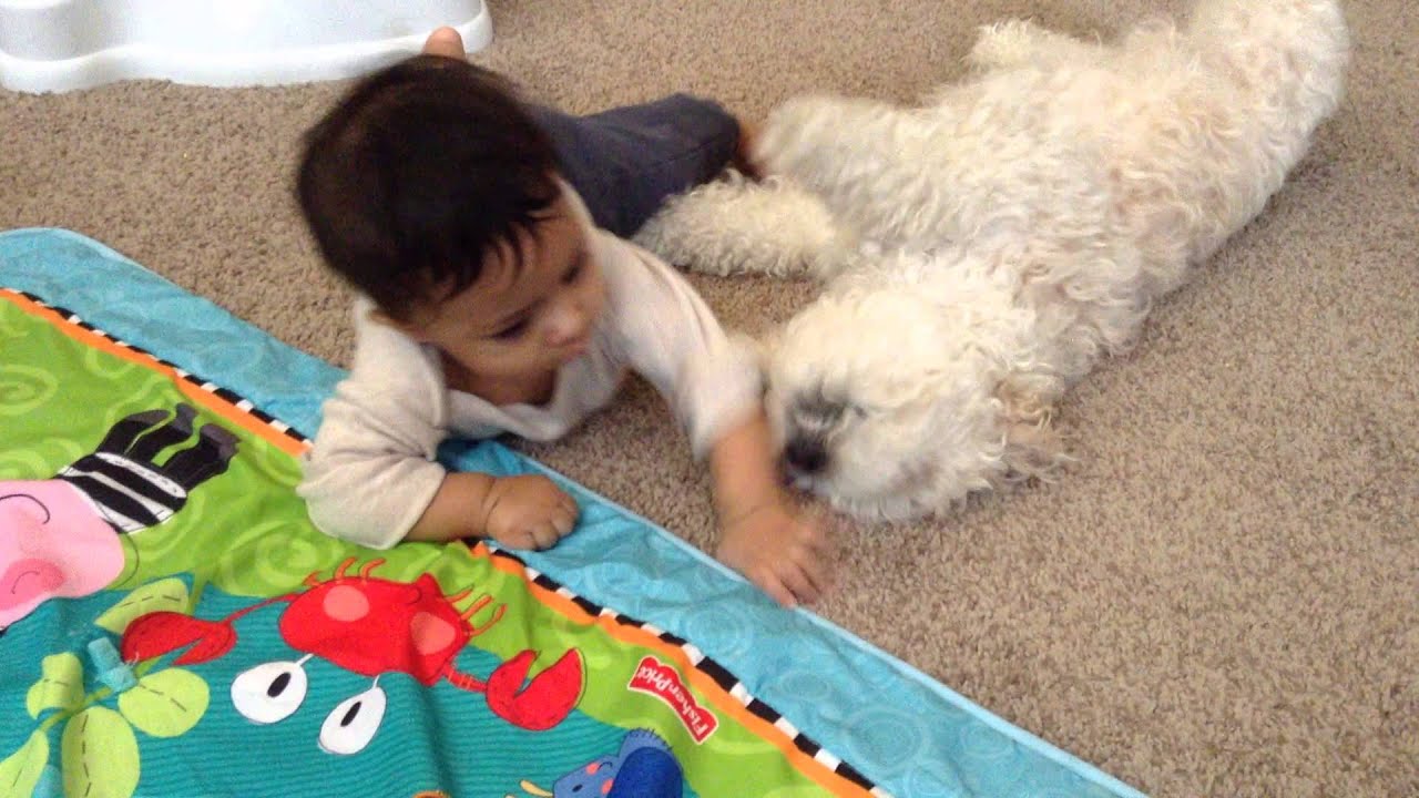 Dev and Joy - YouTube