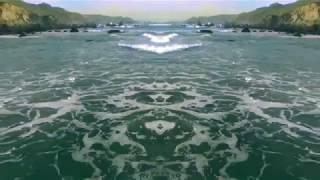 Billinski-Shedding Leaves(2011)