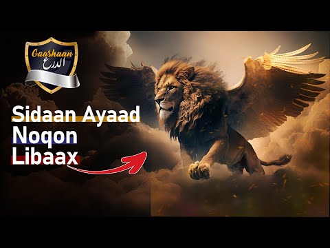 Daawashada Xun Gaashaan Marabtaa In Aad Libaax Noqoto 