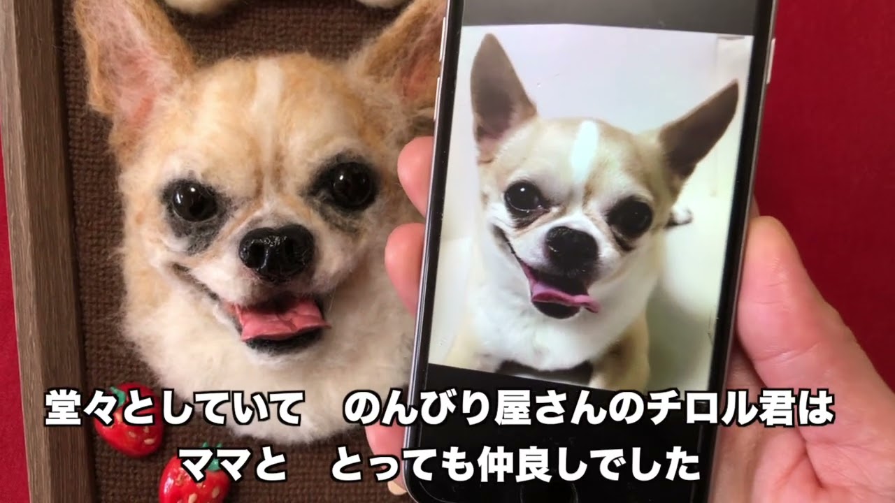 羊毛フェルトで、虹の橋と今を繋ぐ！これからも、ずーっと一緒！【うち