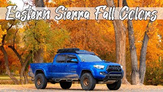 Chasing Fall Colors in the Eastern Sierra - Beautiful Fall colors in California