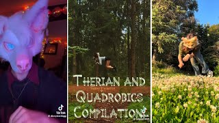 Therian And Quadrobics Compilation