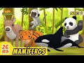 Mamíferos Episodio Compilación [Parte 6/6] (Español) - Leo, El Explorador | Animación - Familia
