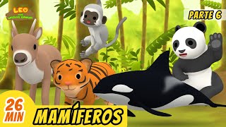 Mamíferos Episodio Compilación [Parte 6/6] (Español)  Leo, El Explorador | Animación  Familia