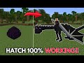 How to hatch ender dragon in minecraft working pejavabedrock