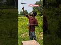 DJI Mini 5 Pro Drone Safe Landing Viral || DJI Mini 5 Pro #djidrone #shorts #dji #drone #djimini5pro