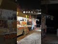栃木県佐野市で今だけ開催の紅葉ライトアップ
