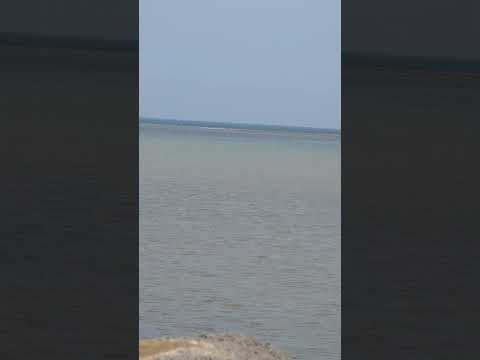 شاطي القنفذة