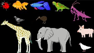 Animal Colors - The Kids' Picture Show