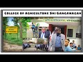 College time vlog  my college life  college of agriculture sri ganganagar