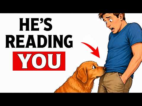 Why Your Dog Sniffs Your Crotch (Don't Ignore This)
