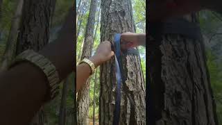 Hammock Setup in Under 60 Seconds 🌿 #HammockSetup #CampingBeginner #WeOutside