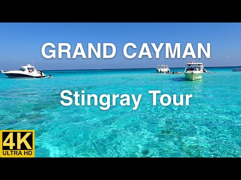 Vídeo: Stingray City, Illa Gran Caiman: La guia completa