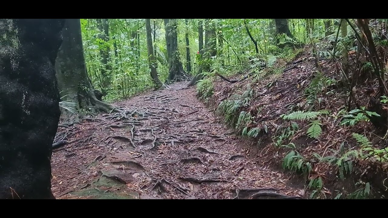 Firstgas Rockets Development Team. Wet Roots 3.