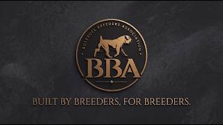 BBA Boerboel Breeders Association - Built by breeders, for breeders.