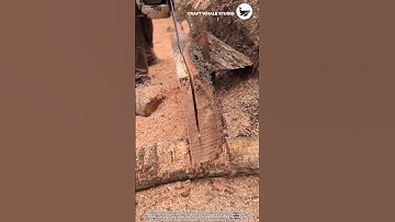 The process of cutting wood log using efficiency diesel chainsaw