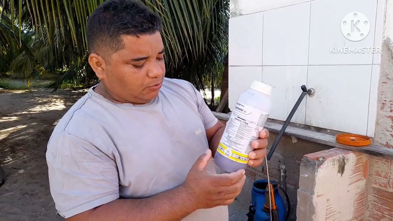 como combater lagarta e broca no coqueiro veja!