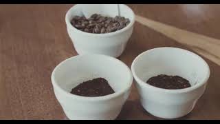 Frothy Monkey Roasting Co / The Roastery / 09.29.2016