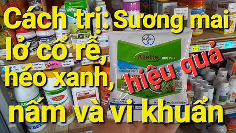 #CHNN 40. cách trị lở cổ rễ, khuẩn, nấm, lưu dẫn 2 chiều... Aliet 800WG - Fosetyl aluminium - Bayer