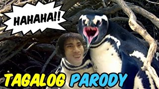 Homewrecker Penguin Tagalog Parody Dub W English Subtitles Gloco Youtube