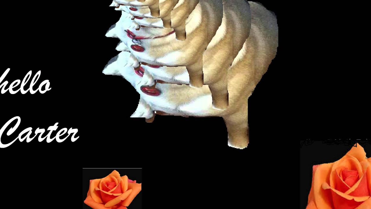 Snail Boots - Hello Carter (Official Audio)