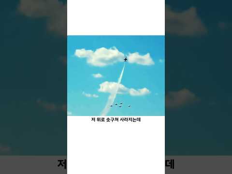 동료를 위한 가장 무심한 비행 thumbnail