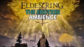 The Erdtree ASMR 🏵️ | Elden Ring Ambience ⚔️ Relax, Sleep & Study