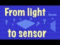 FROM LIGHT TO SENSOR: Waves of Colour, Photosites and Bayer Patterns Mp3 Song