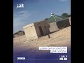 انتشار أسراب من الجراد بضواحي مركز تكنت الإداري