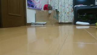 雀の人形を持つフクロウ（20170525）