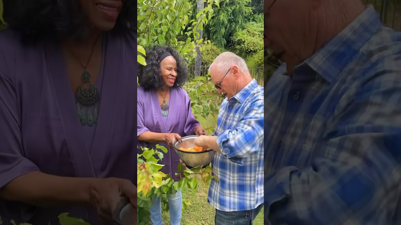 Picking Apricots 👩🏾‍🤝‍👨🏼🌱🍑 