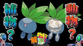 ナゾノクサ Youtube