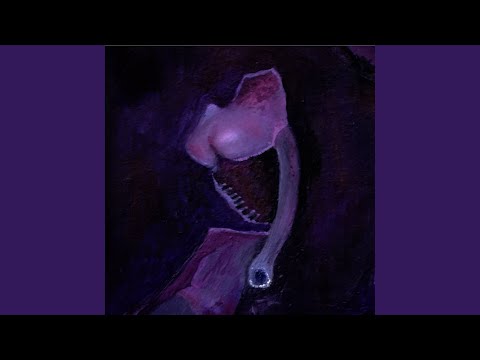 pfctlord - Ровно час до сна