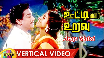 Ooty Varai Uravu Tamil Movie Songs | Ange Malai Vertical Video | Sivaji Ganesan | KR Vijaya | MMT