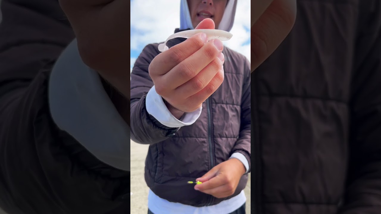 How To Rig A Swimbait!