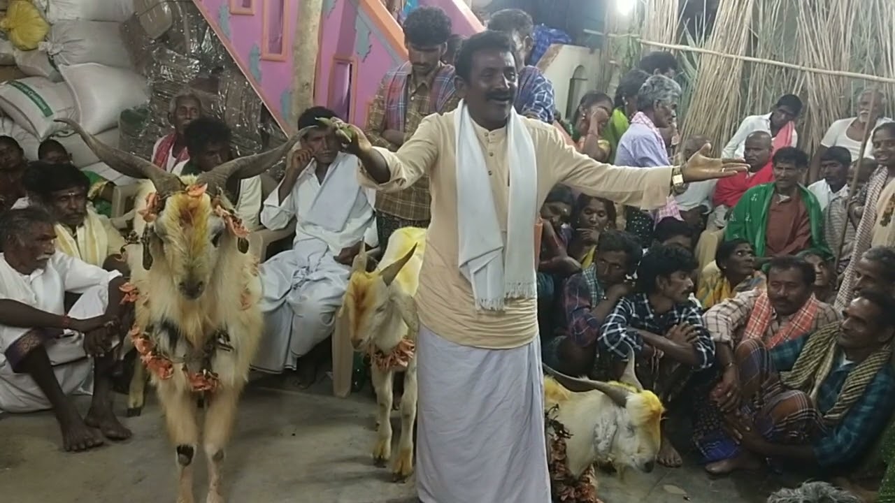 golla chadhu chappa dalappadu 7660956024