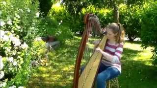 Skinny Love - Birdy/Bon Iver (Harp Cover) chords