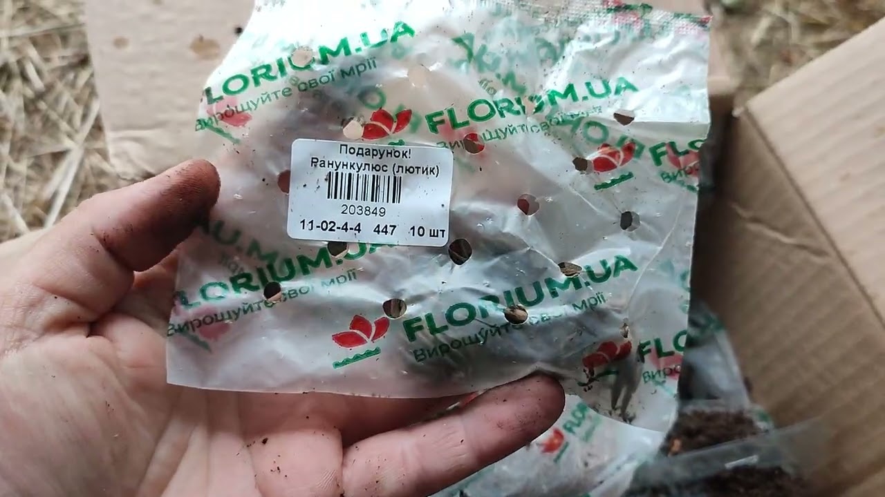 Знову за старе. Флоріум