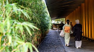 Japan Walk 🇯🇵 ASMR A Quiet Garden in Roppongi: Nezu Museum 根津美術館