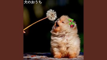 Understated Moods for Pure Trips