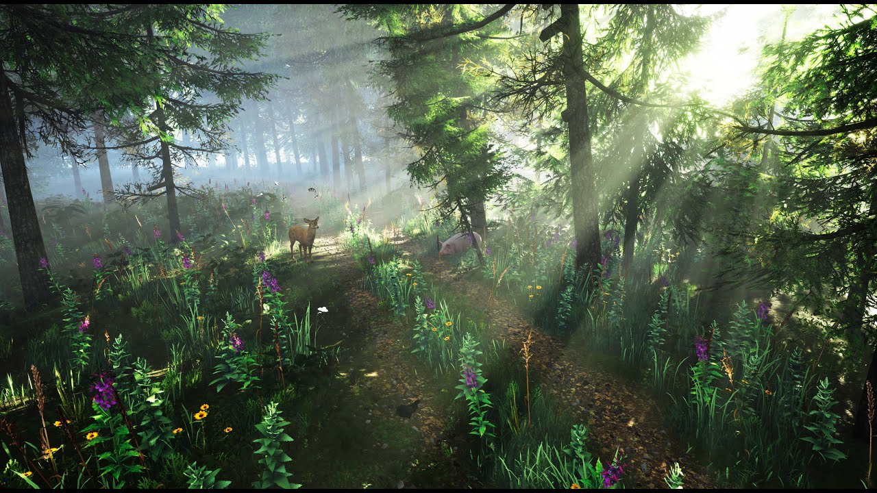 Peaceful Forest Scene In Ue4 Youtube