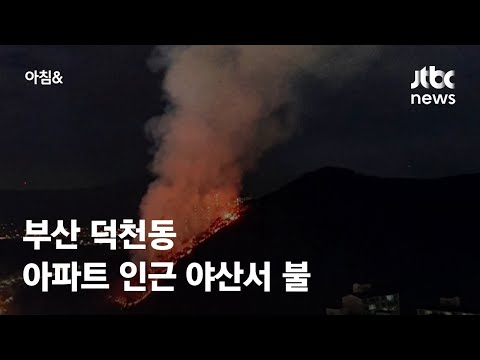 부산 <strong>덕천동</strong> 아파트 인근 야산서 불…인명피해는 없어 / JTBC 아침&amp;amp;