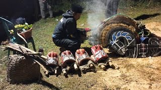Live CONDRO PENDOWO Lokasi SUMBEREJO GEDANGAN