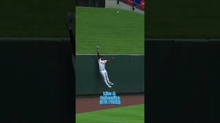 Soto Gets Robbed Of A Homerun