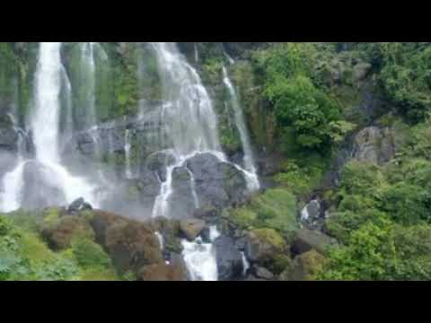 li-banghini-||pansing-kro-&-bari-rongpharpi||-lyrics