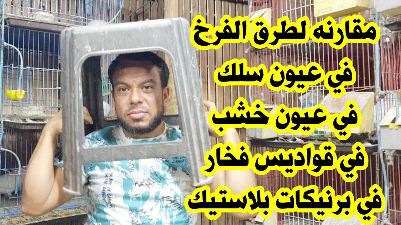 مقارنه مهمه بين تربية الحمام في عيون سلك او خشب او فخار او جردل مميزات وعيوب 📢📢