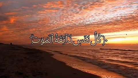 سورة العنكبوت ايه 57 كل نفس ذائقة الموت بصوت عبدالرحمن مسعد